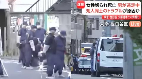 韩国美女被割喉