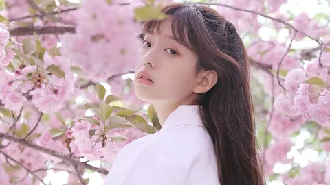 哈利法塔2026跨年烟花秀