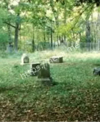 芝加哥巴切勒树林公墓